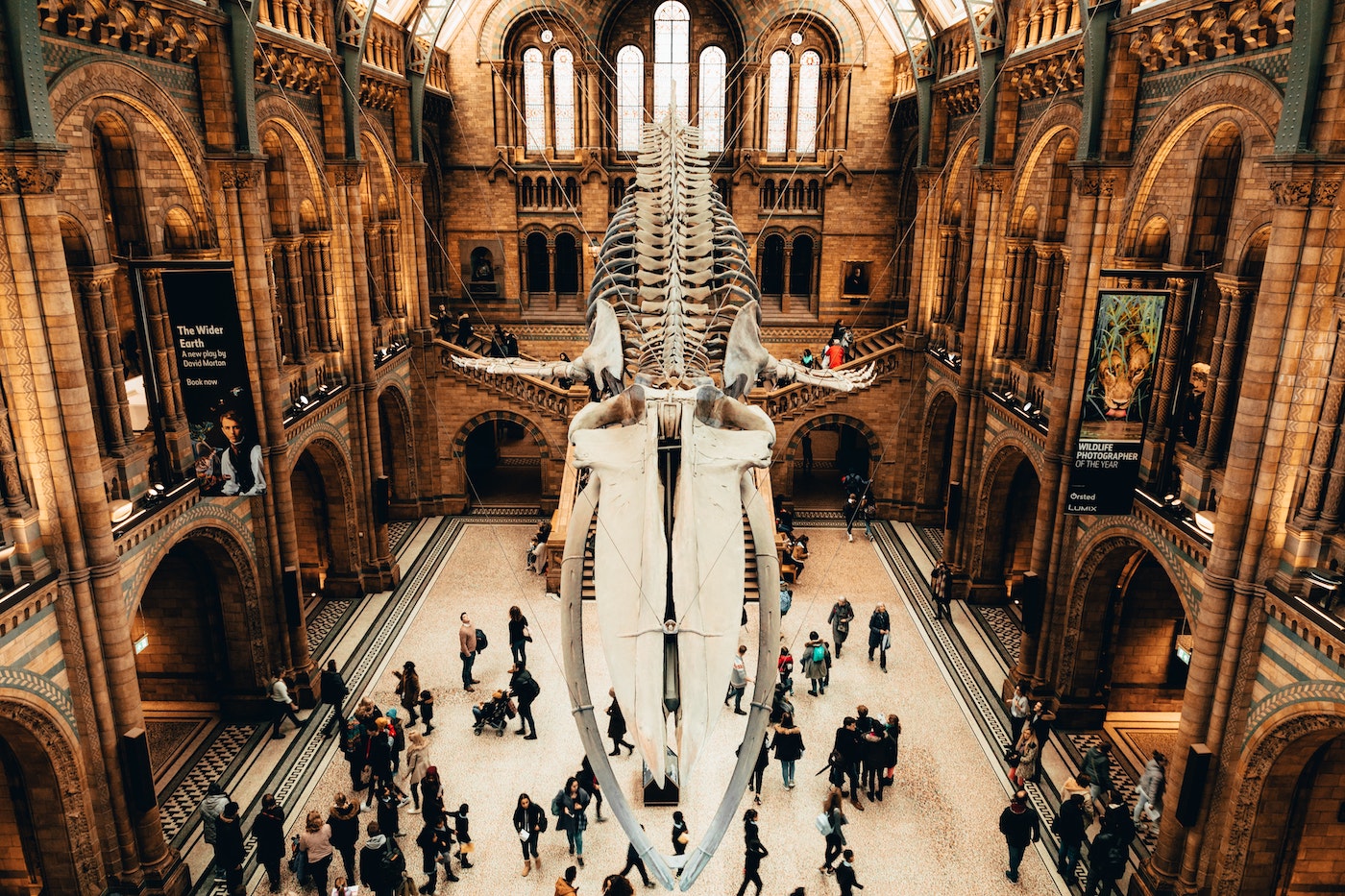 Best museums to visit in London in 2022