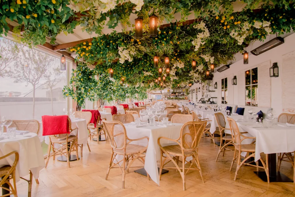 Alto by San Carlo