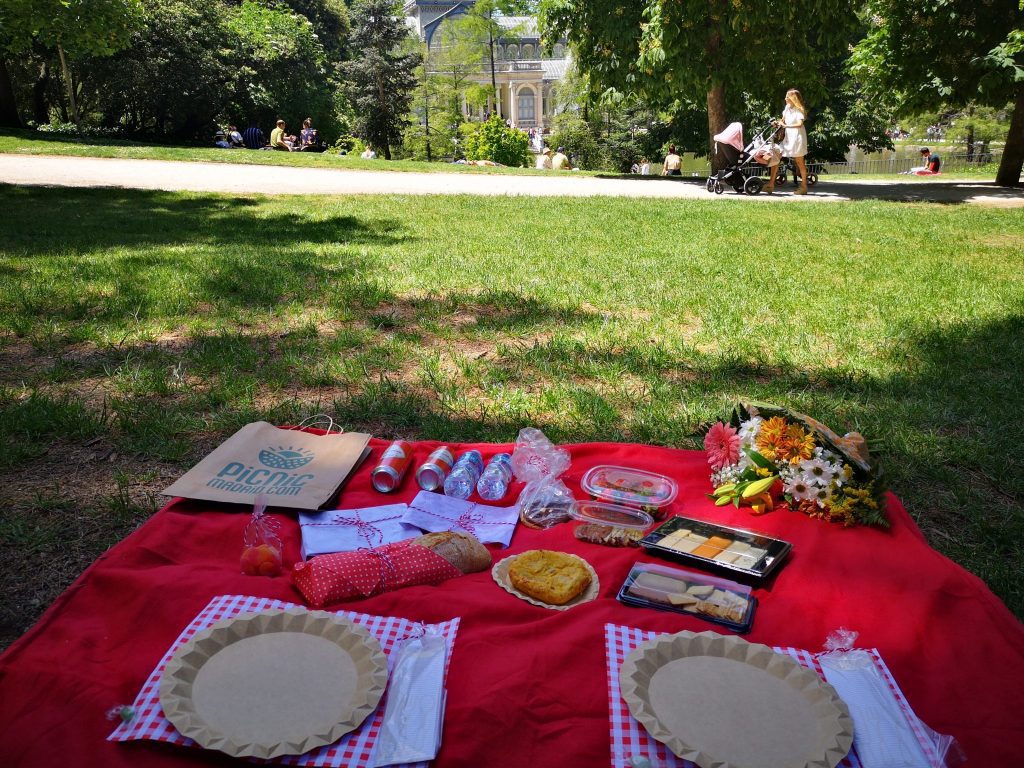 Picnic day in Madrid