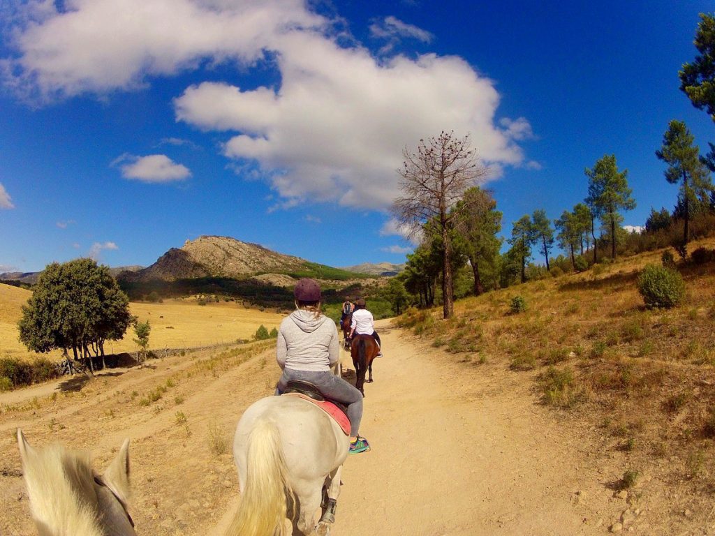 Guadarrama National Park on horseback
