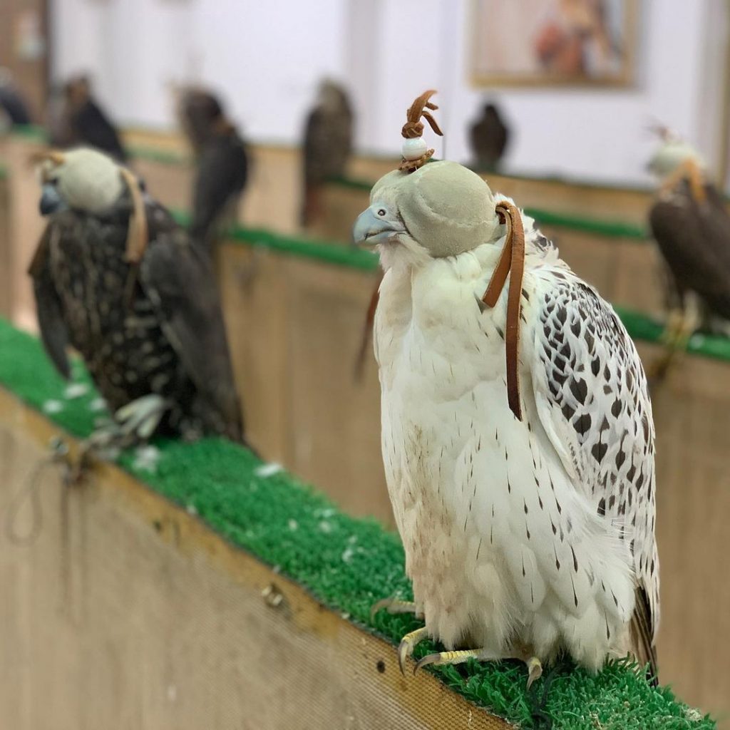 Falcon Souq