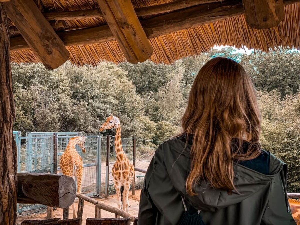 Zoos in London