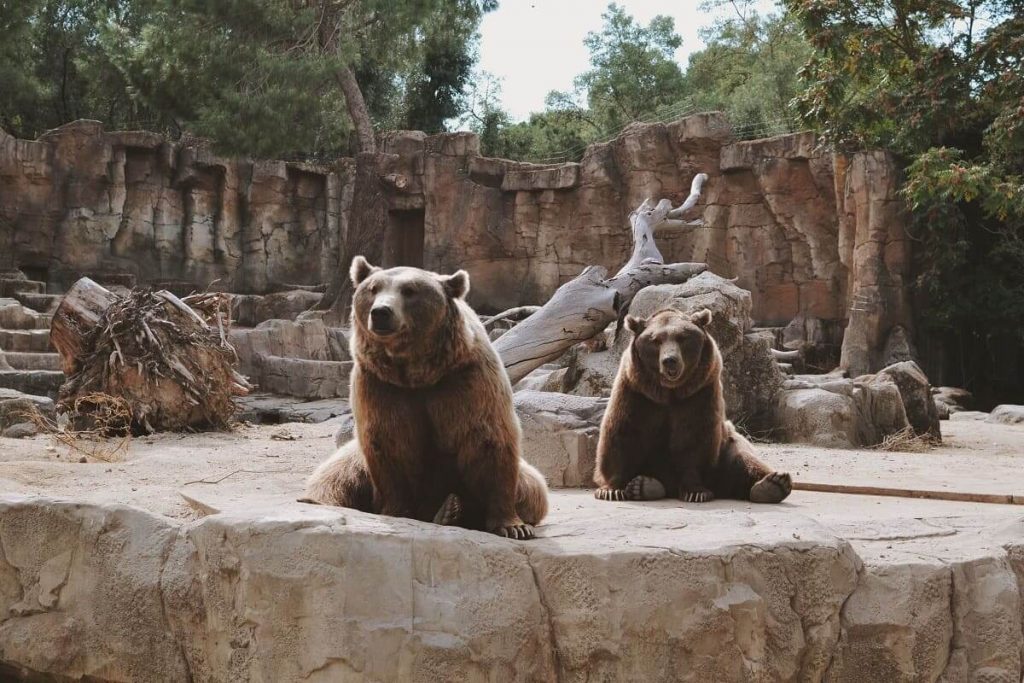 London Zoos
