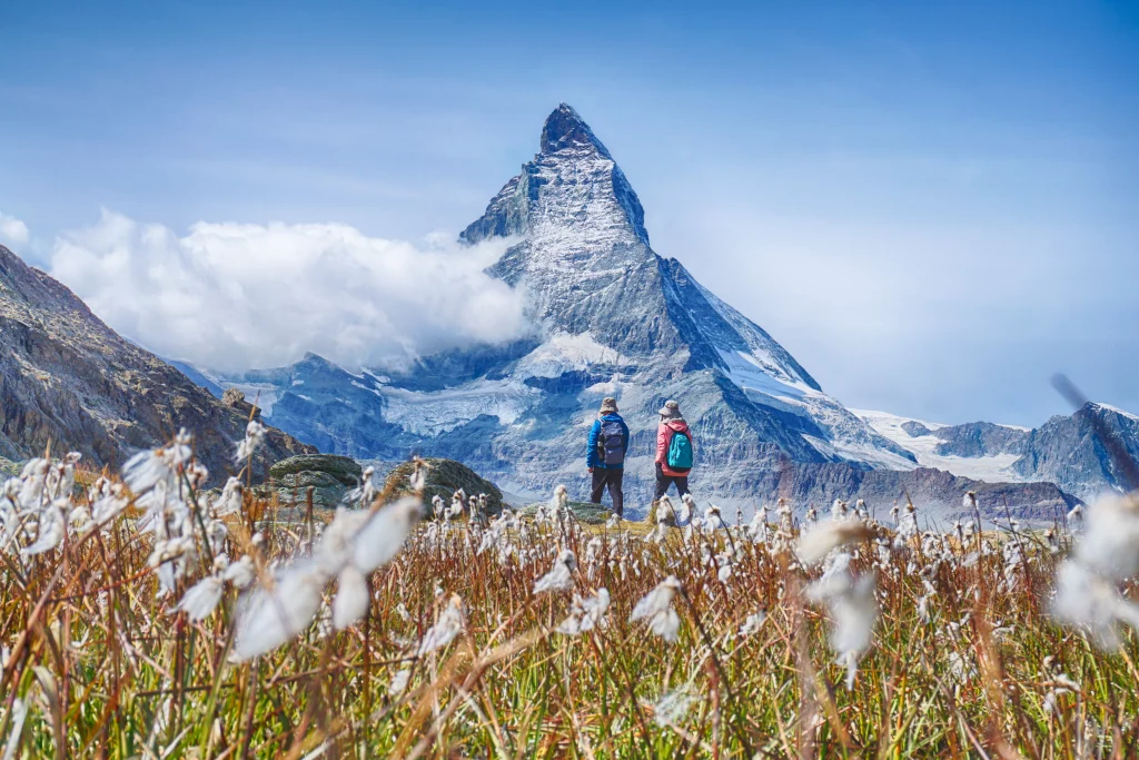 Swiss Alps - THE 20 BEST Things to Do in Zurich, Switzerland