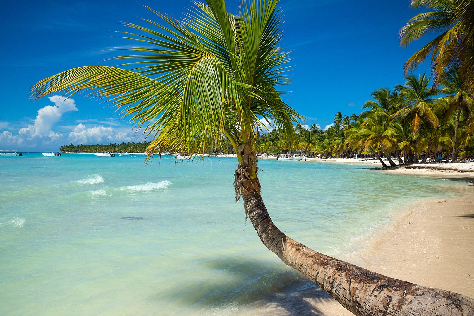 Things to do in the Dominican Republic in 10 Days: The Ultimate Itinerary