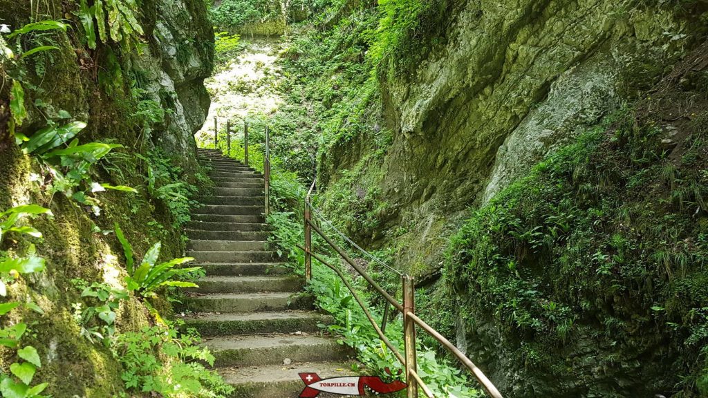 Hike the Gorges du Chauderon - THE 15 BEST Things to Do in Montreux