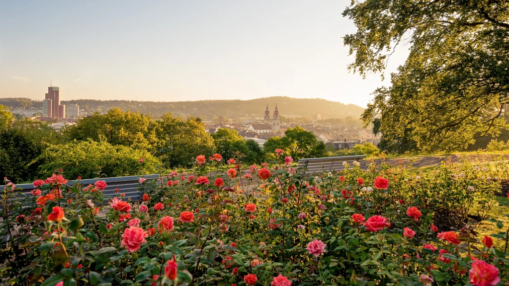 Visit the Rose Garden in Geneva - 20 Best Attractions in Switzerland