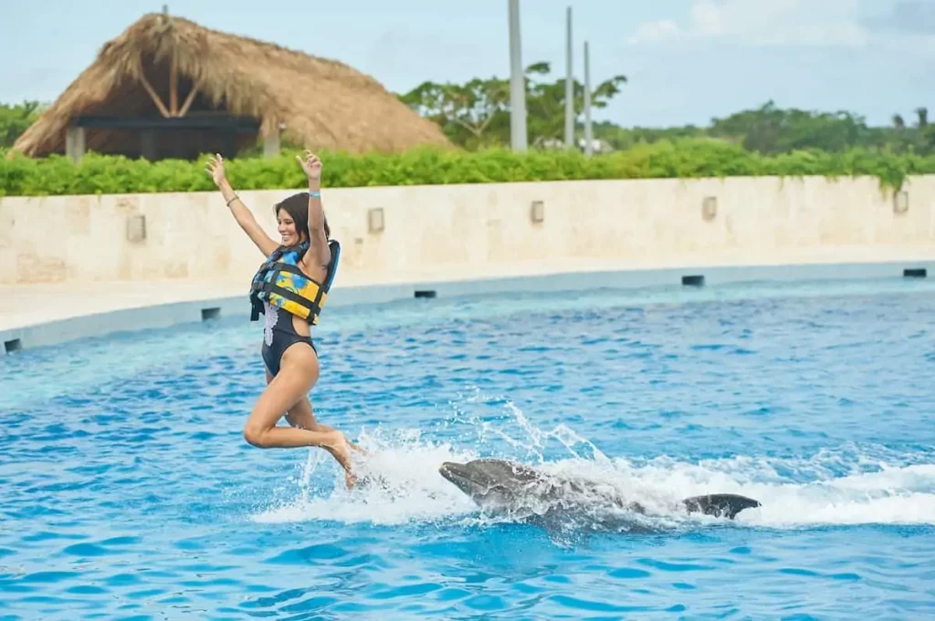 Enjoy swimming with dolphins at Ocean World Adventure Park, Puerto Plata