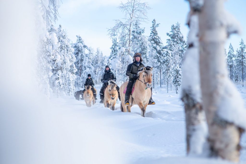 horseback safari Lapland