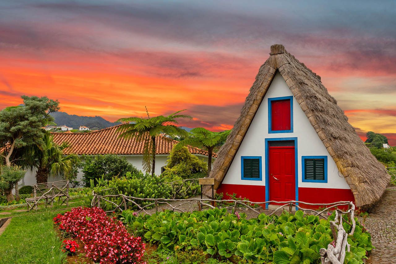 20 Reasons You Need to Visit Madeira Right Now