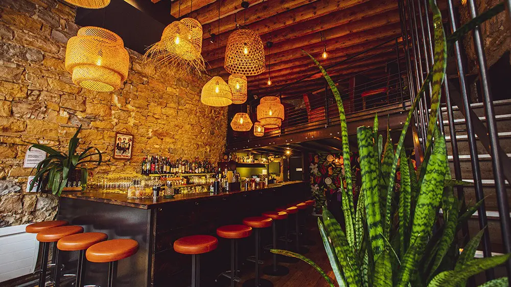 Sauvage - 25 of the Best Bars in Lyon, France