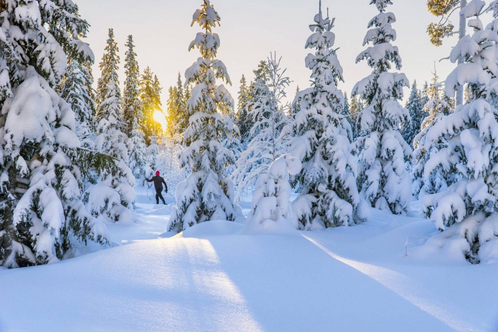 cross-country skiing Lapland