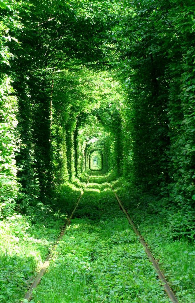 Tunnel of Love, Caras-Severin