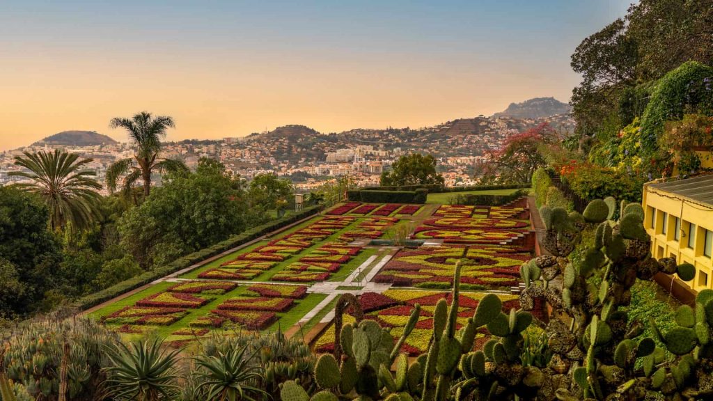Visit Madeira, the most beautiful island with her amazing garden: Madeira Botanical Garden
