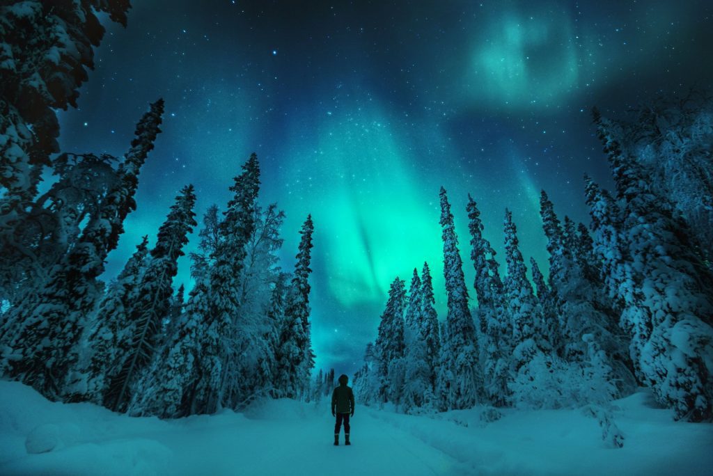 Northern lights - Best Things to do in Lapland