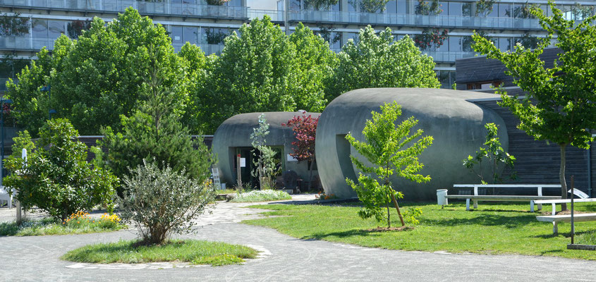 The Bordeaux Botanical Gardens