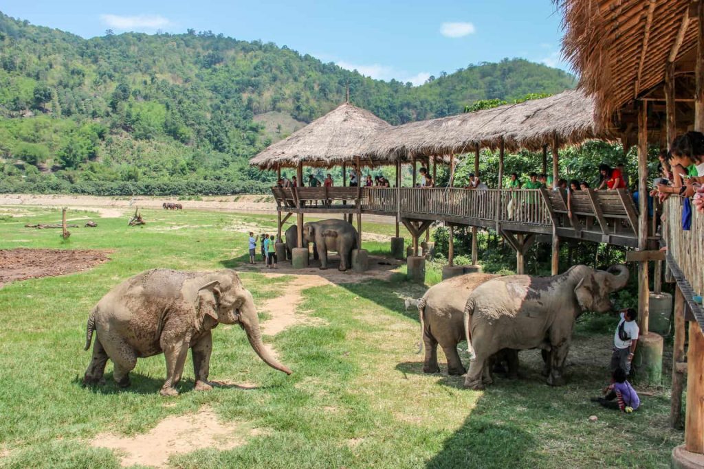 Visit Elephant Nature Park