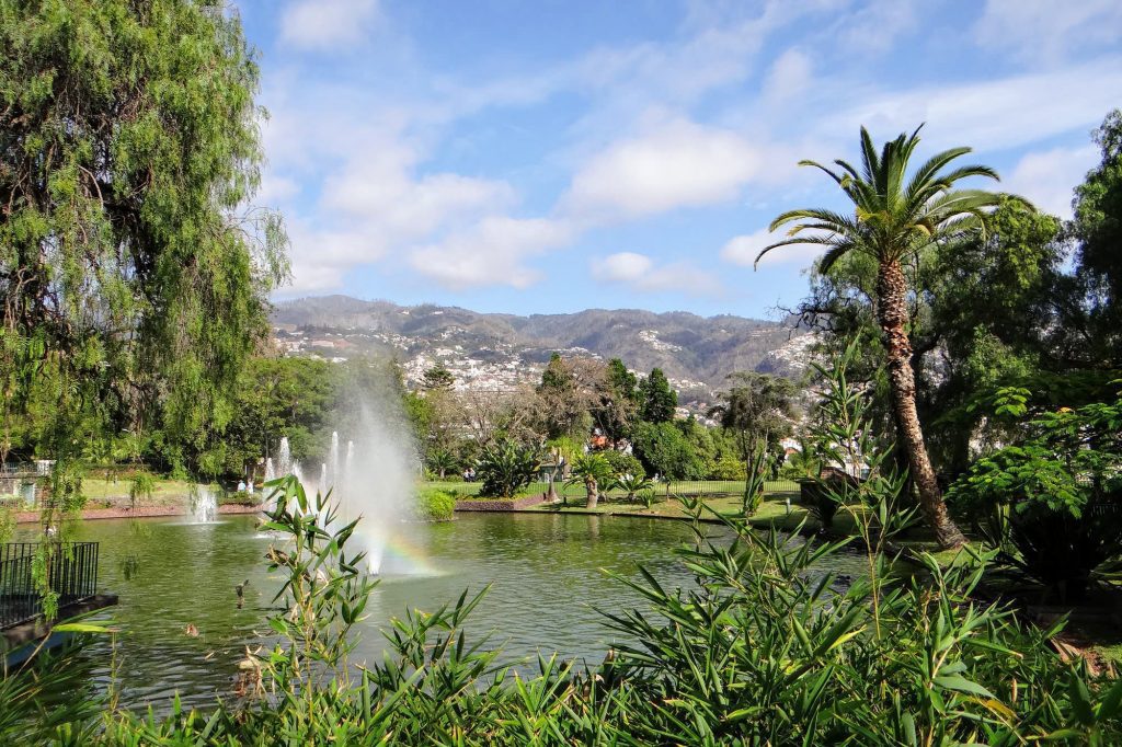 A beautiful park in Madeira: Santa Catarina Park