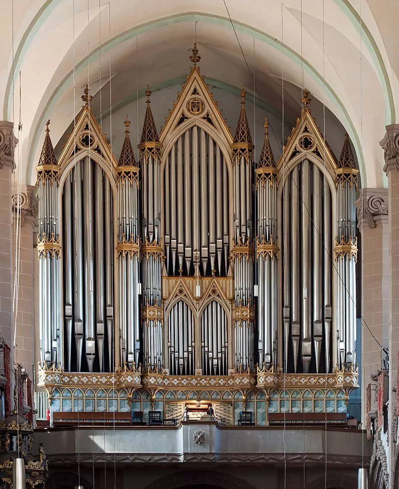 the largest organ in Europe