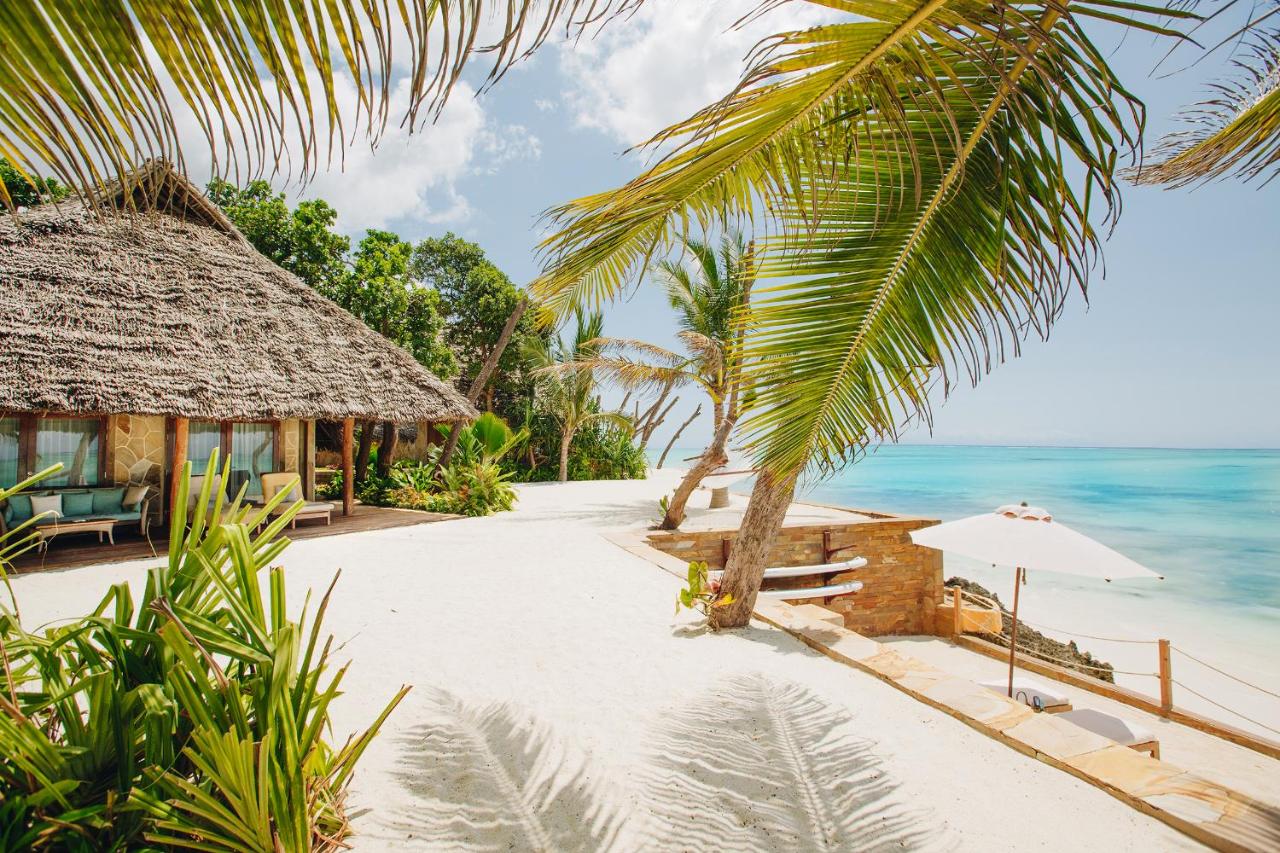 Top 10 Yoga Retreats in Zanzibar to Unwind and Recharge