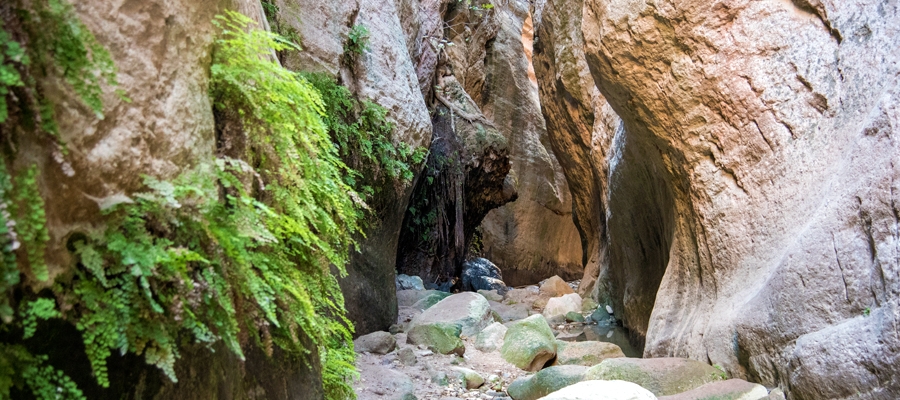 Avakas Gorge Nature Trail - 20 Top-Rated Attractions to Visit in Cyprus