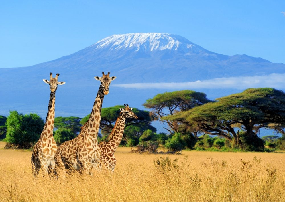 Destinations in Tanzania: 10 Can’t-Miss Safari