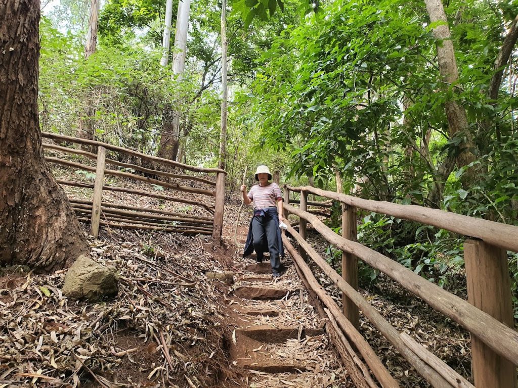 The Sigiria, Karura Forest