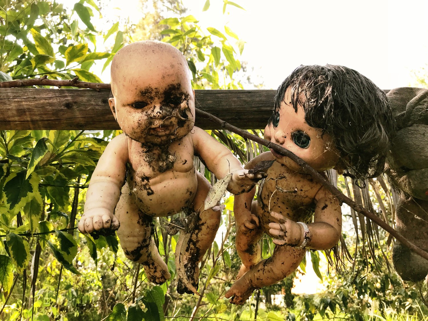 Island of the Dead Dolls