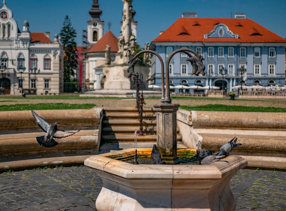 European Capital of Culture: Top 20 Best Attractions in Timisoara, Romania