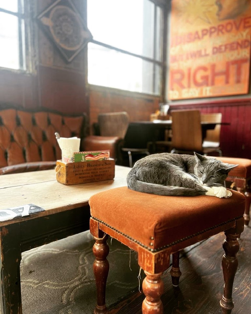 Top 10 Pet-Friendly Restaurants in London That You and Your Furry Friend Will Love