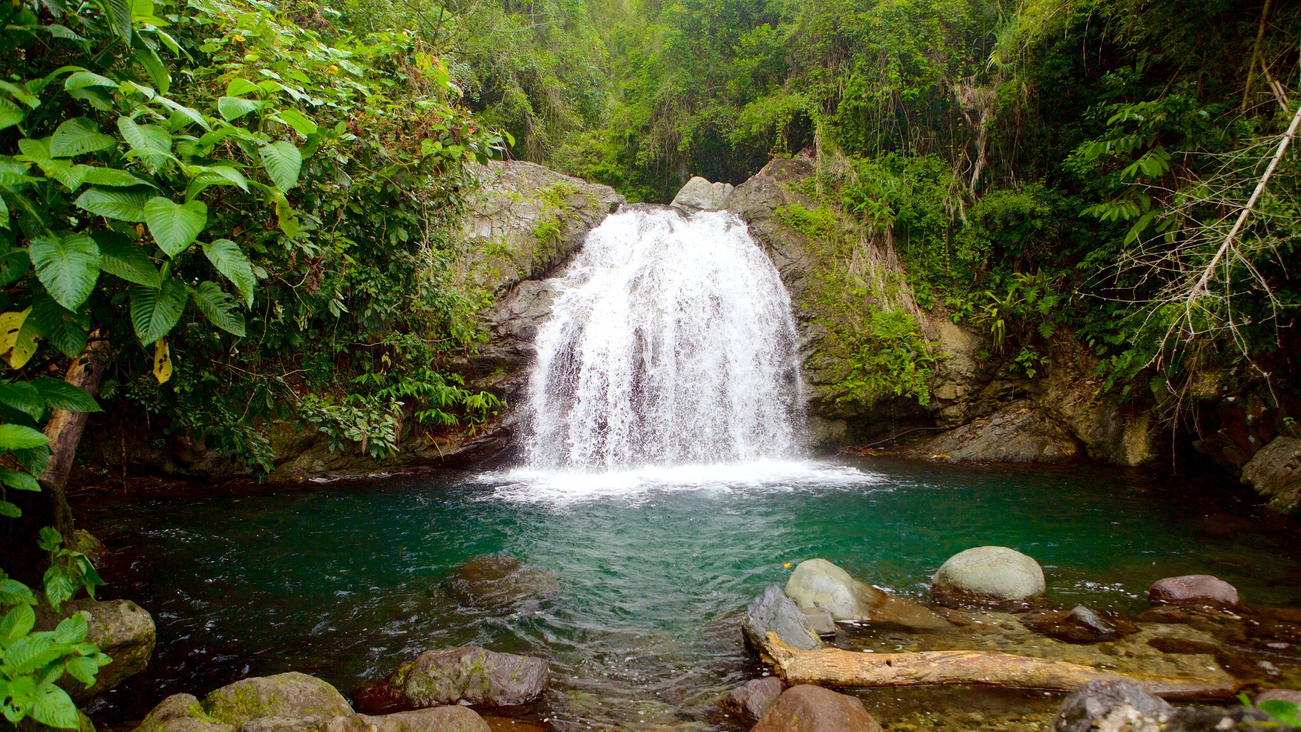 Blue and John Crow Mountains National Park - Can't-Miss Tourist Attractions in Jamaica