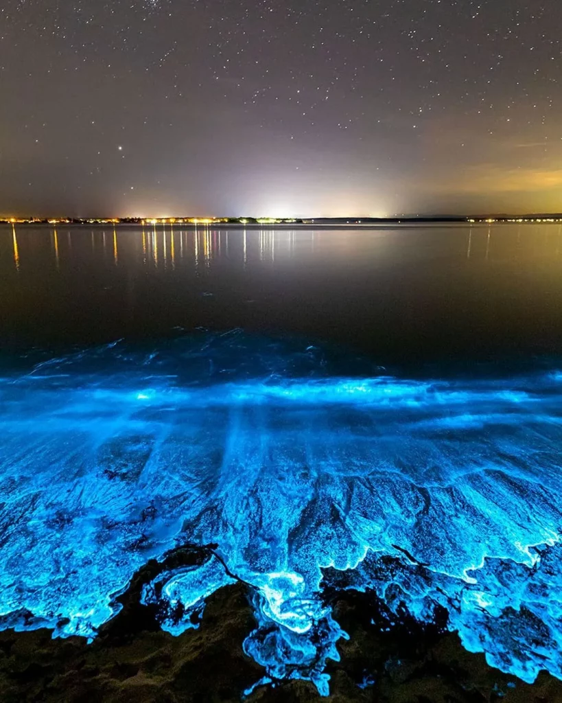 Glowing Beach, the Maldives, and Jervis Bay