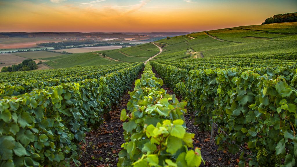 Champagne Region, France