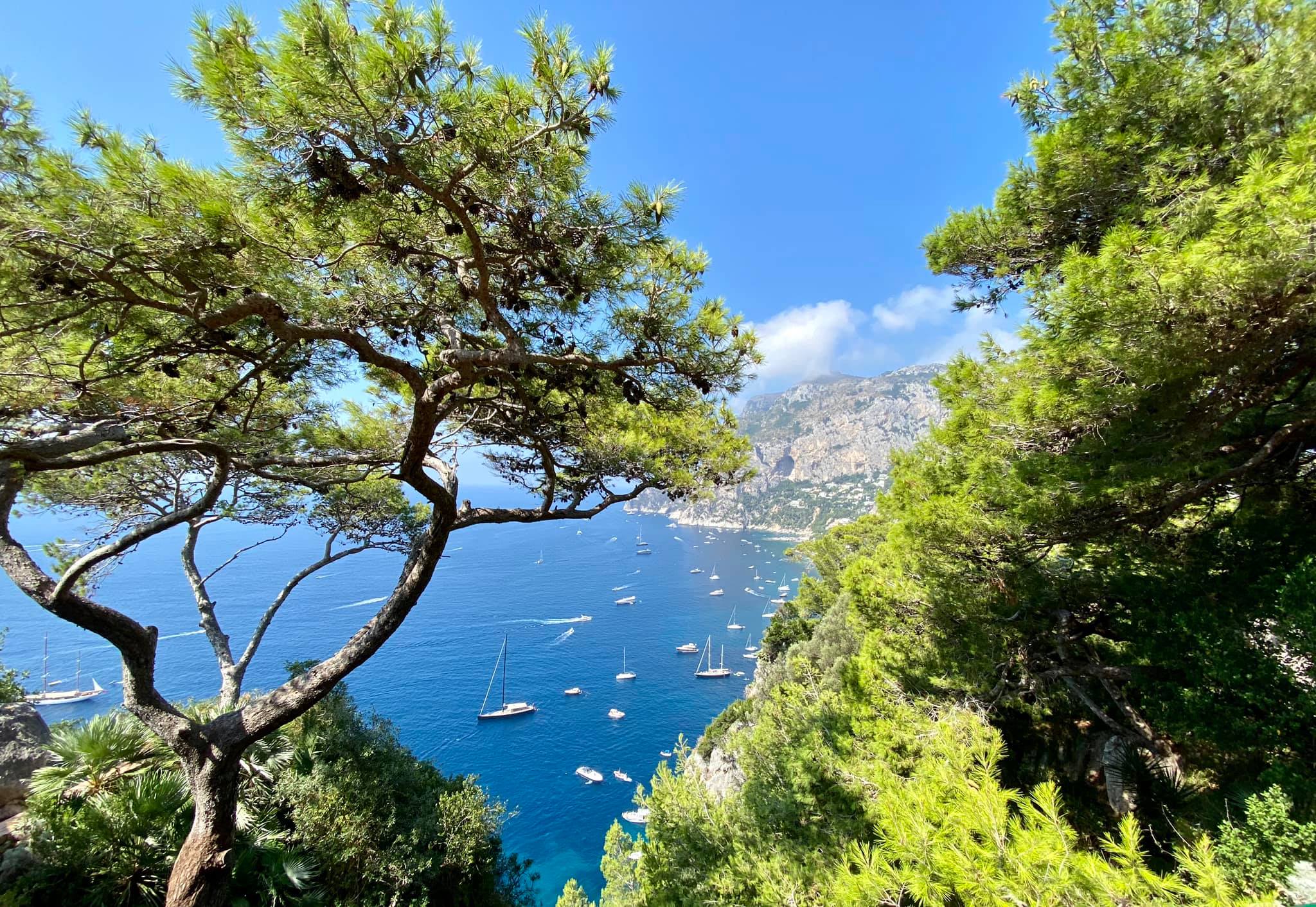 Belvedere Tragara - 15 Unforgettable Things To Do in Capri