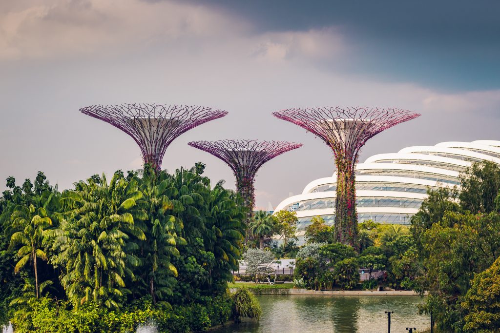 Be Amazed at Gardens by the Bay