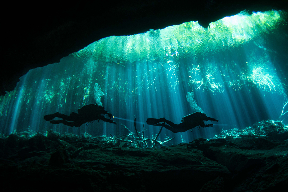 Divers fin through the Garden of Eden cenote - Brandi Mueller