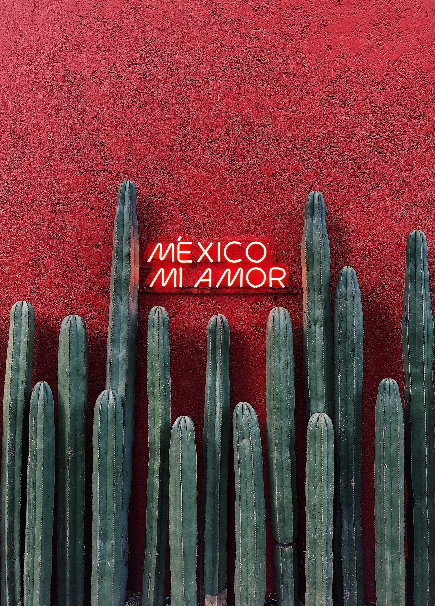 Polanco I Sección, Mexico City, CDMX, Mexico - Top 20 Cheapest Places to Travel in 2023 
