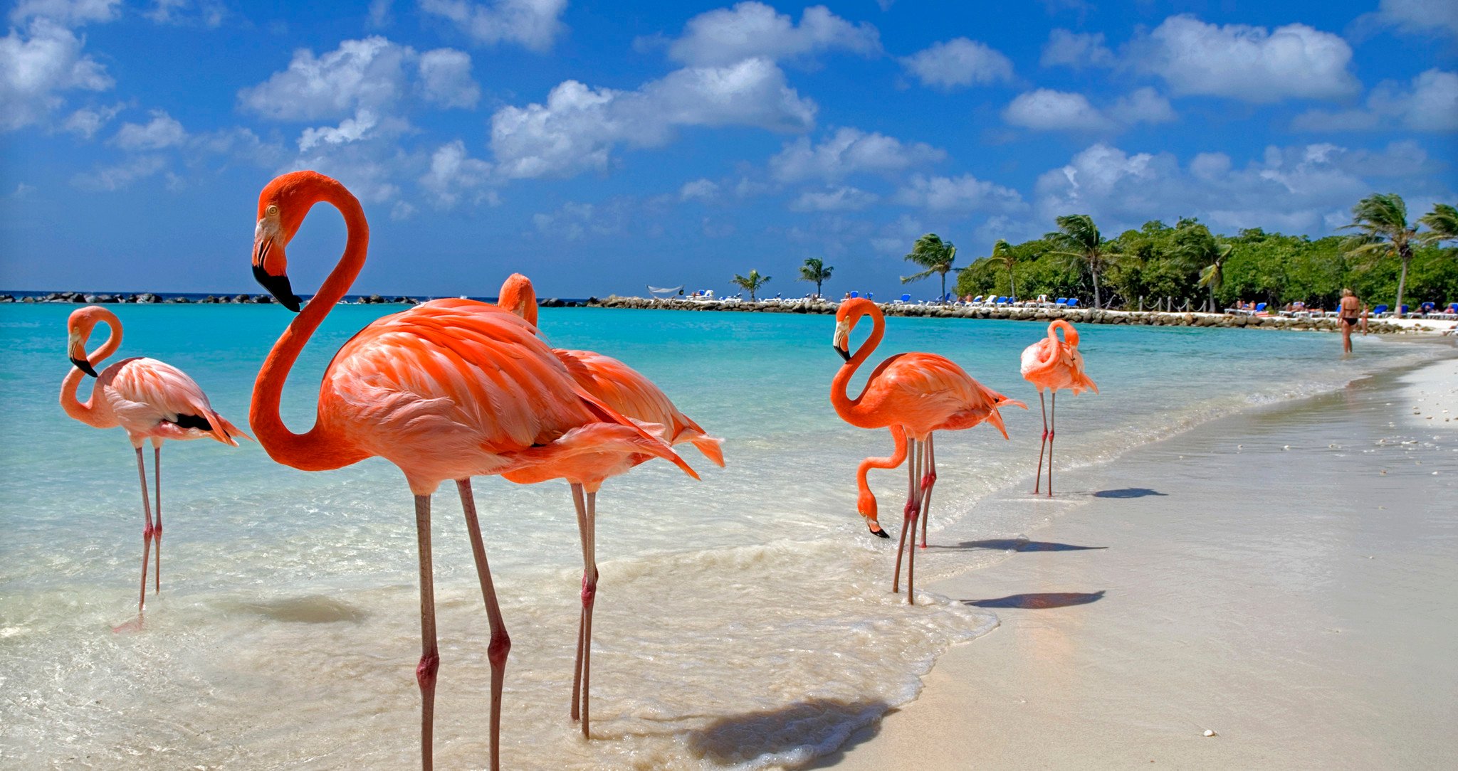 Eagle Beach, Aruba - Top 20 Beaches in 2023