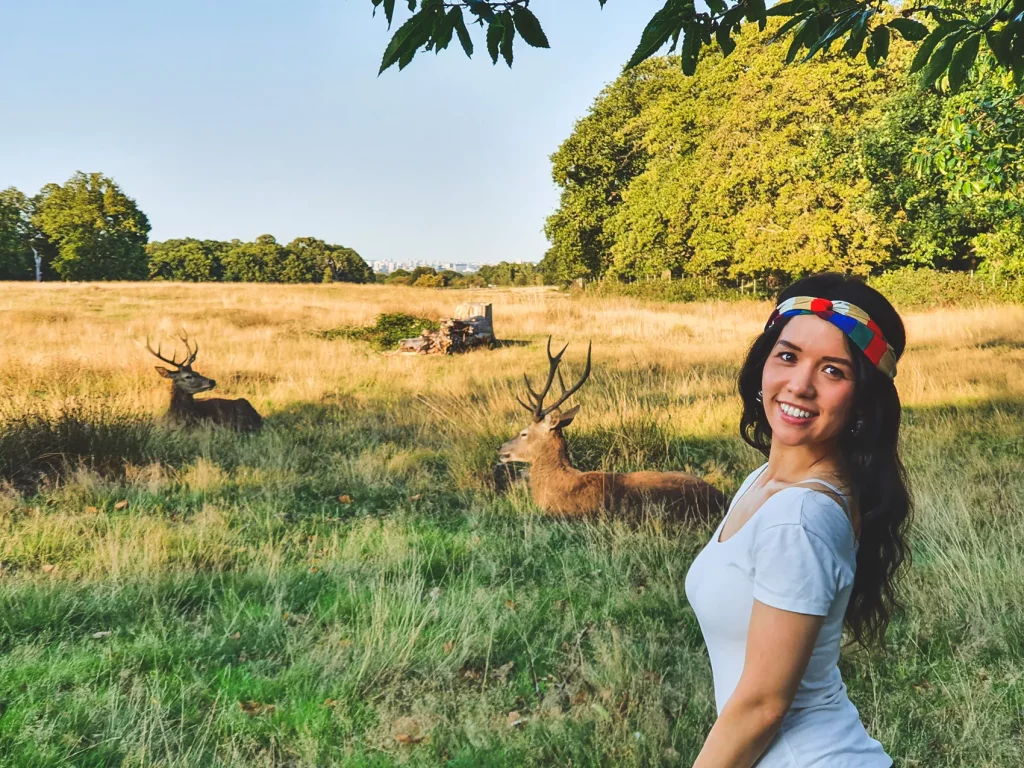 See the Deer in Richmond Park