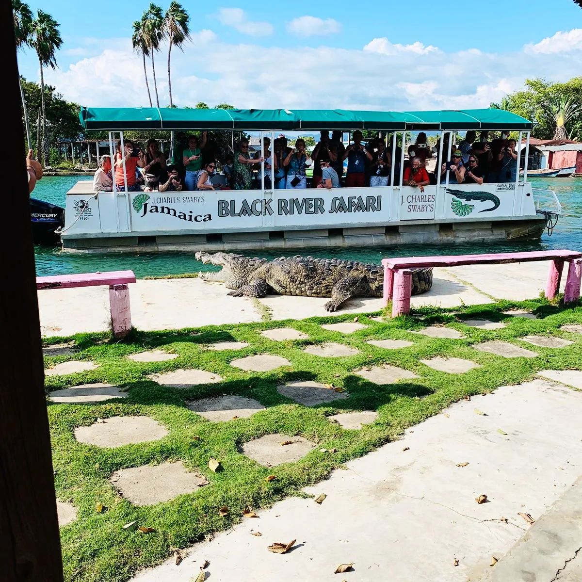 Black River Safari Boat Tour - Can't-Miss Tourist Attractions in Jamaica