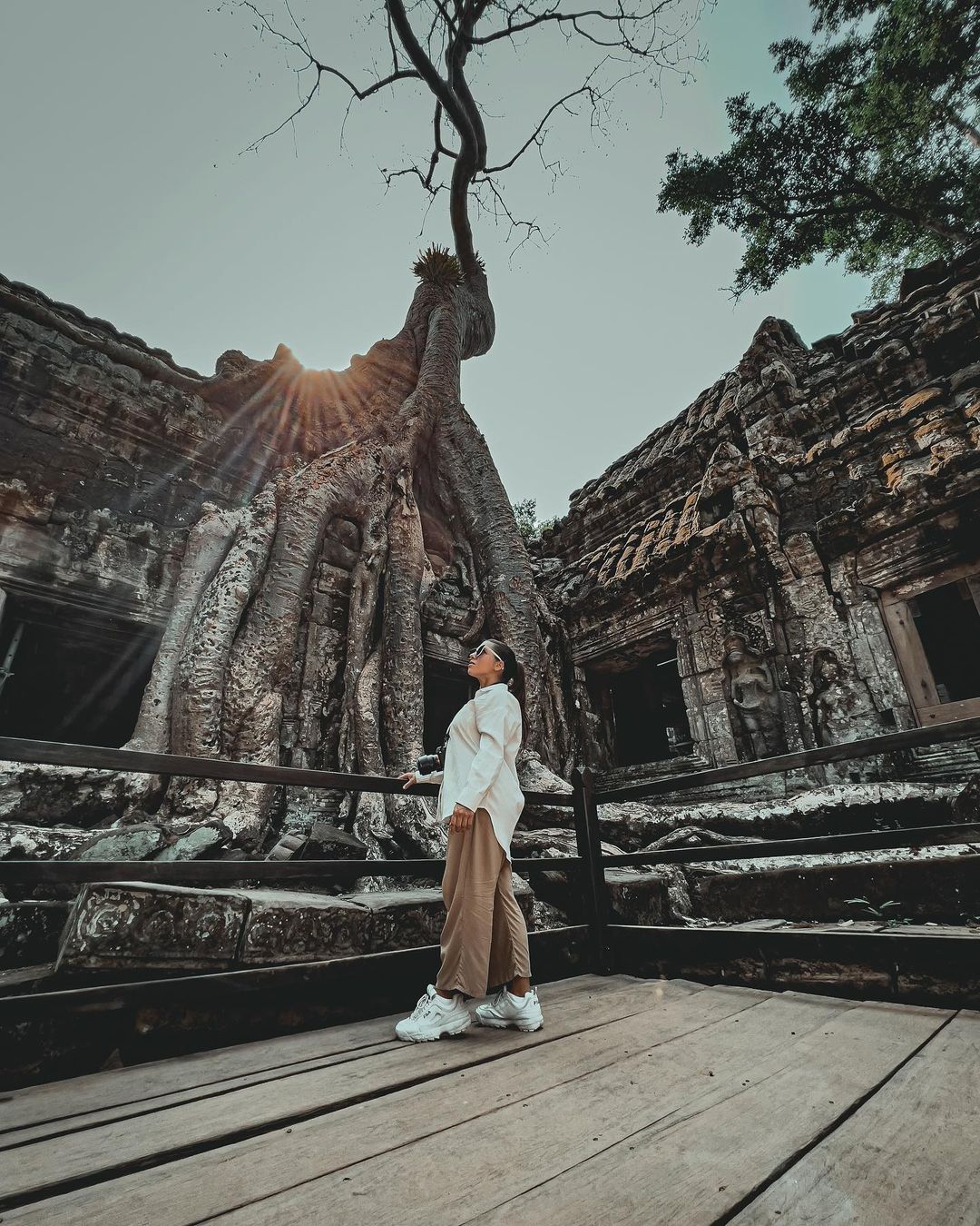 Ta Prohm Temple - Can't-Miss Attractions in Cambodia