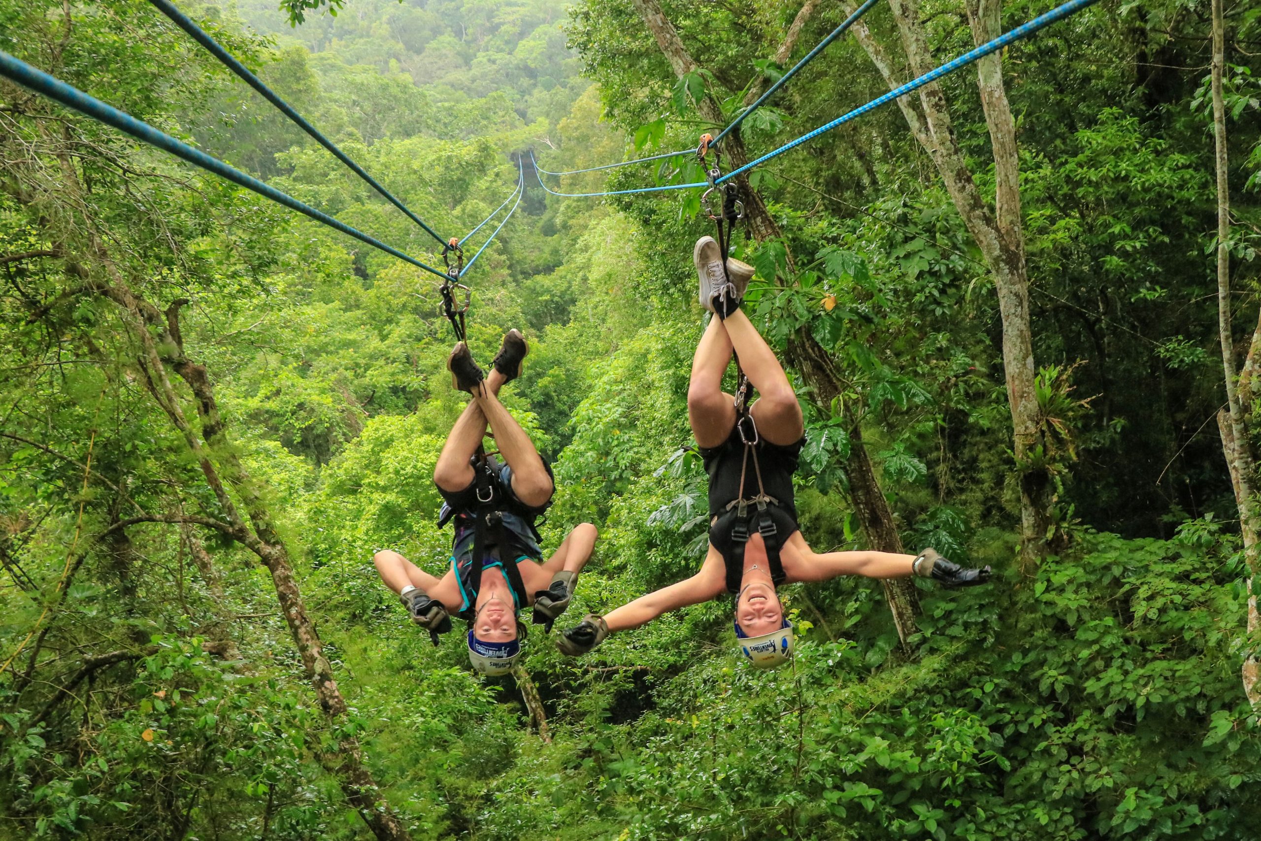 Zipline Adventure Tours - Can't-Miss Tourist Attractions in Jamaica