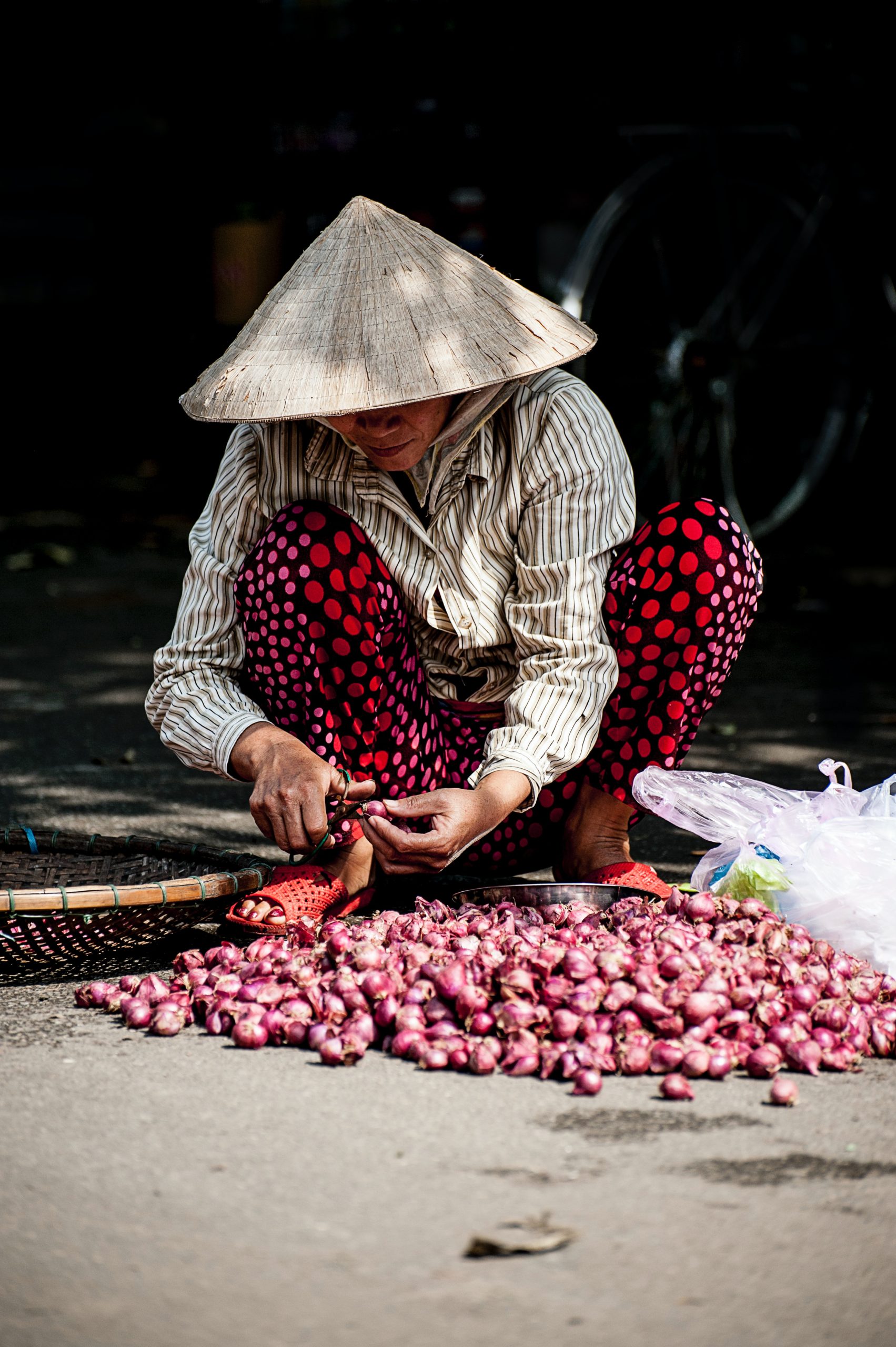 Vietnamese farmer, Vietnam