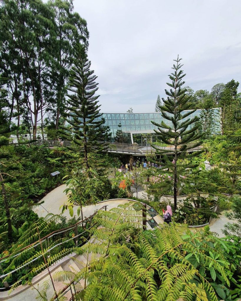 Wander Around Singapore Botanic Gardens
