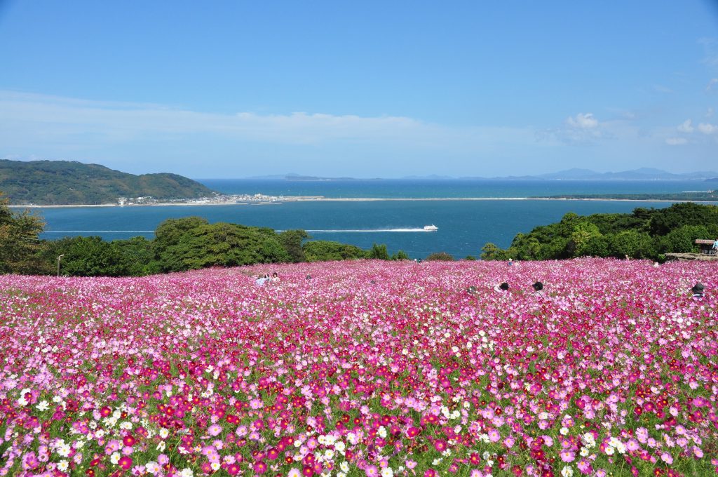 Nokonoshima Island