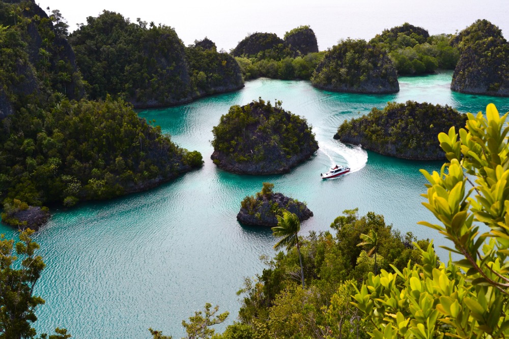 Raja Ampat Islands Bucket List: The Best 15 Things To Do
