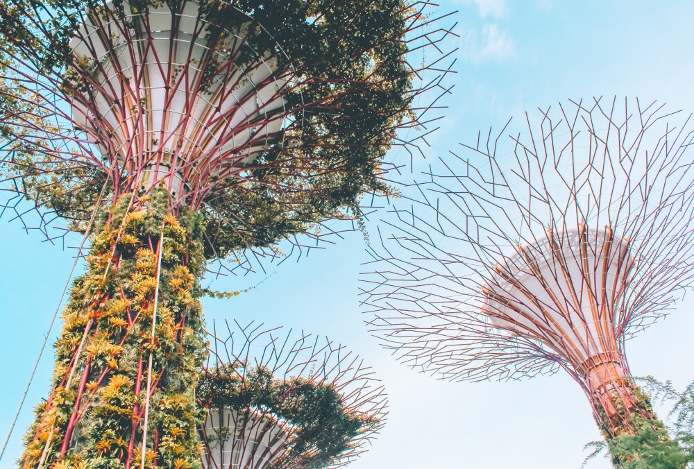 10 Reasons To Visit Singapore in 2023