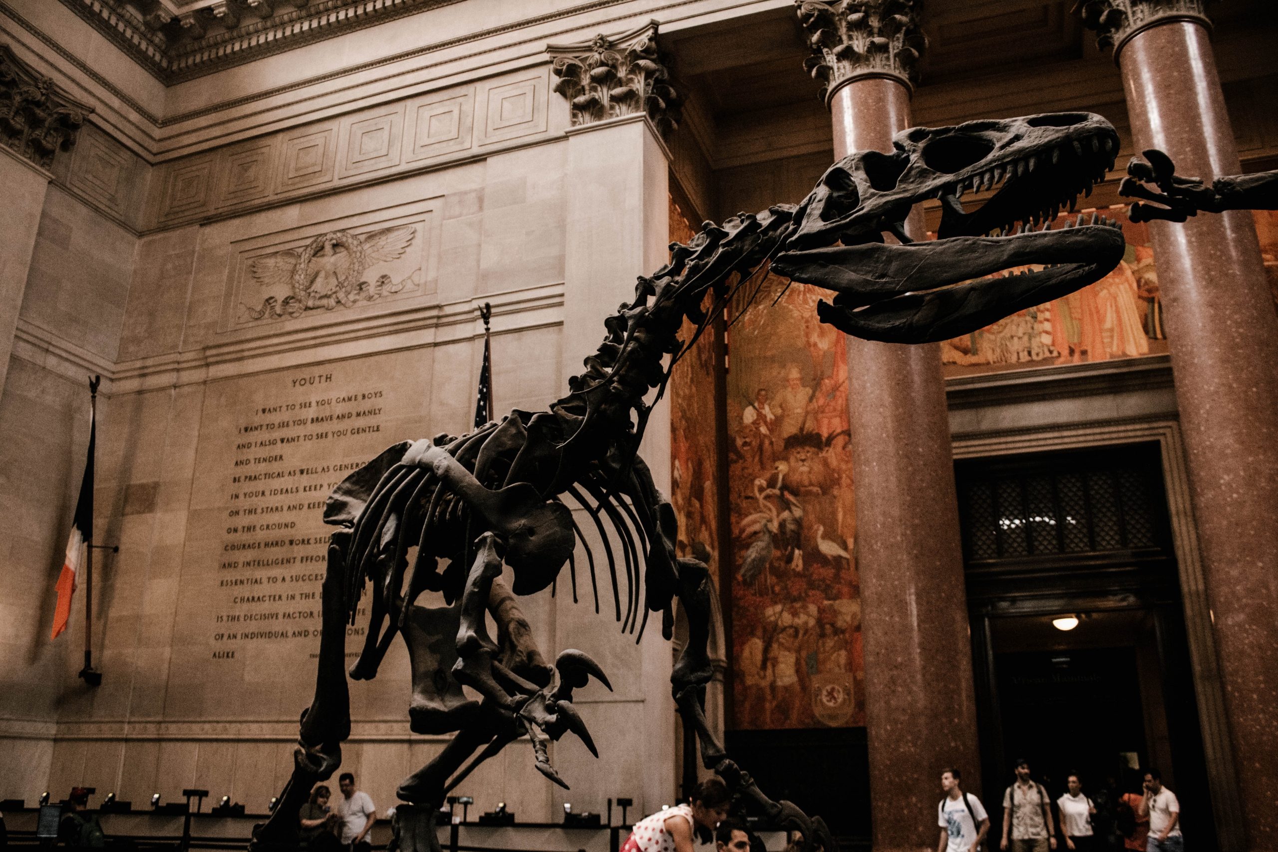 American Museum of Natural History - 20 Tourist Attractions in New York