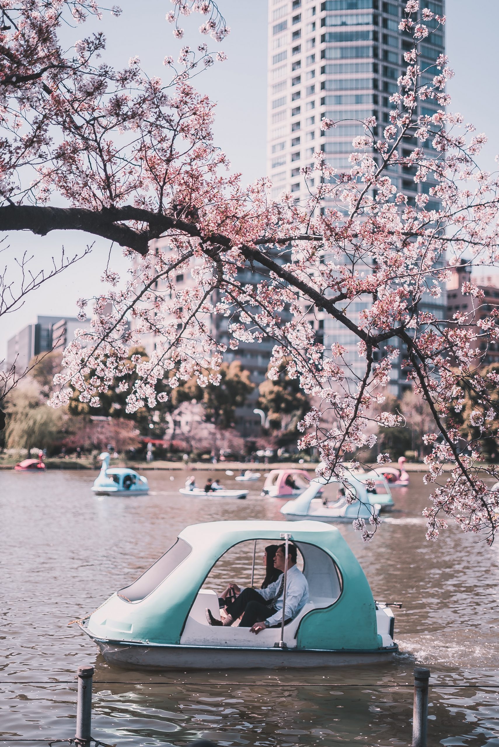 Ueno Park, Tokyo, Japan