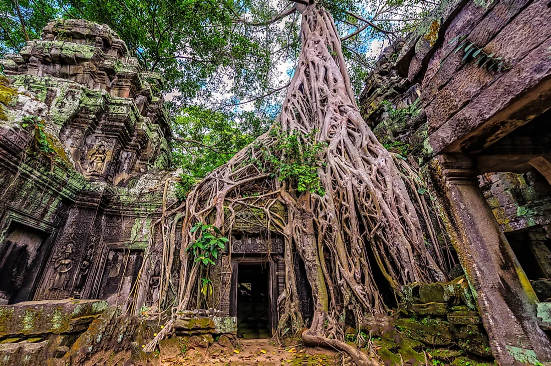 Ta Prohm Temple - Best 15 Temples in Cambodia